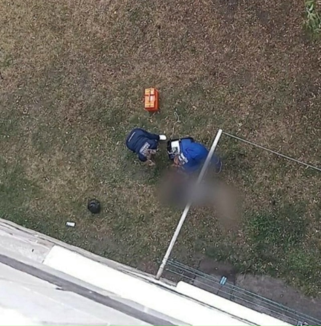 Трагедия у многоэтажки в Кургане
Жильцы услышали кри?...