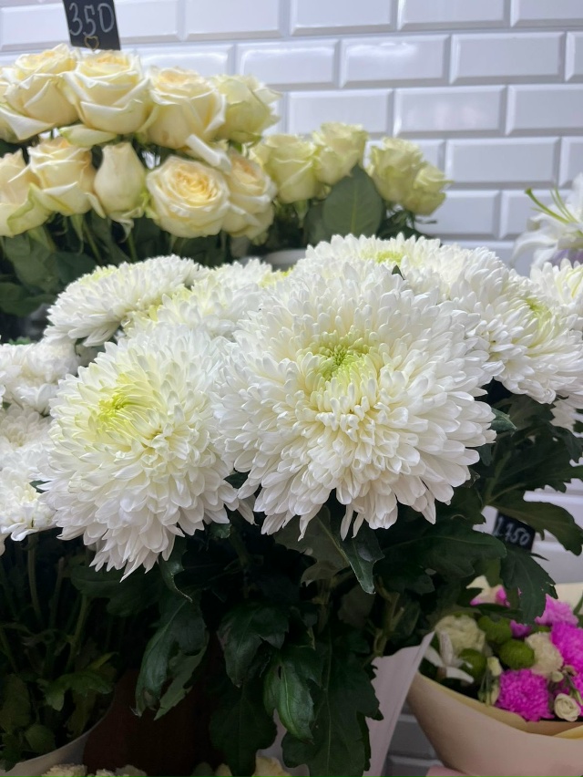 🌸 Студия цветов 