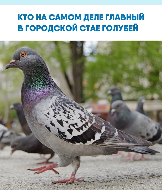 Почему люди не всегда замечают 