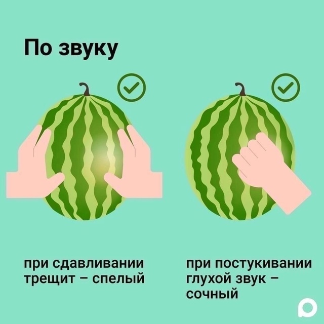Как правильно выбрать арбуз.😎