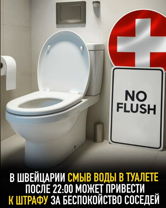 Подборка интересных фактов.
