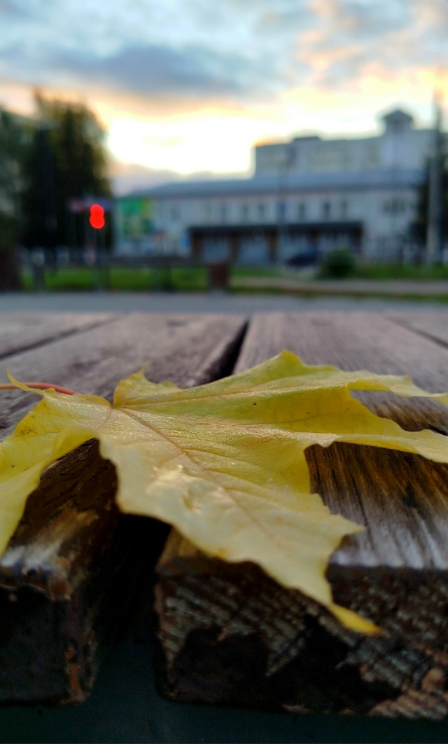 Доброе утро ⛅
Фото: Светлана Льдокова