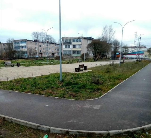 Экскурсия по городу.
Недоделки у спорт. площадки, кото?...