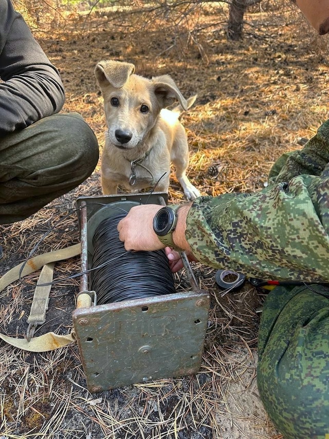 Связист по кличке «Бумер» ? На передовой помогает наш...