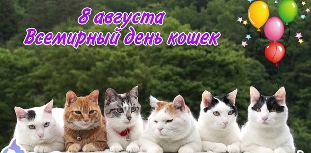 💓 Со всемирным Днём Котов 🐈
💓 Поздравляю всех хозяе...