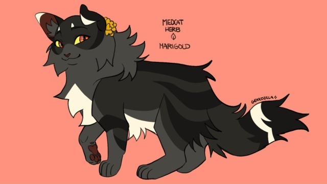 Тенесвет! Забавно, что ему сделали официально это мягк?...