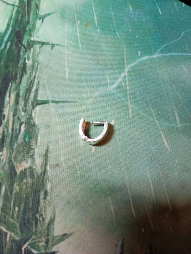 Добрый день! В субботу была потеряна сережка, серебрян?...