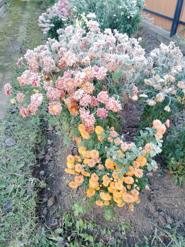 Нас утро встречает прохладой