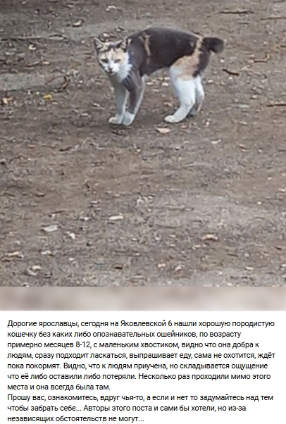 Пост добра. Распространите, пожалуйста.