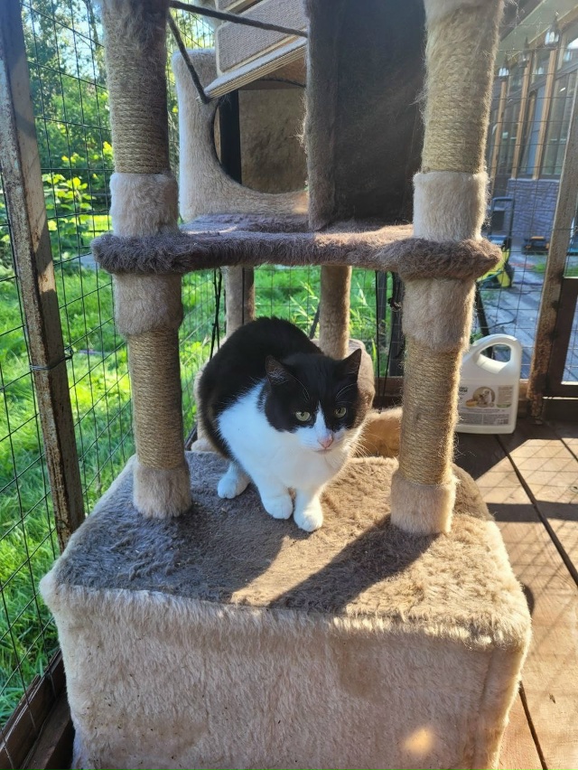 ‼️СРОЧНО
МОСКВА И МОСКОВСКАЯ ОБЛАСТЬ‼️
?Доставим ?...