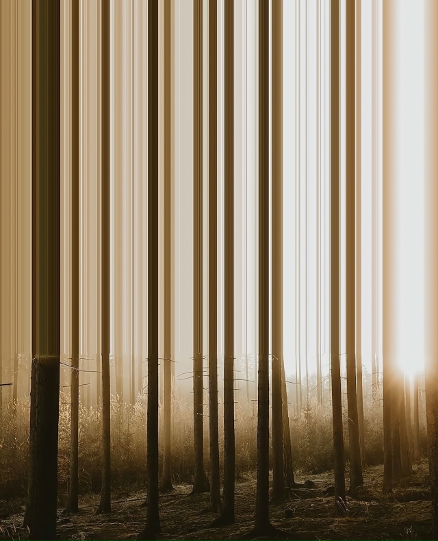 4 сезона через объектив staines