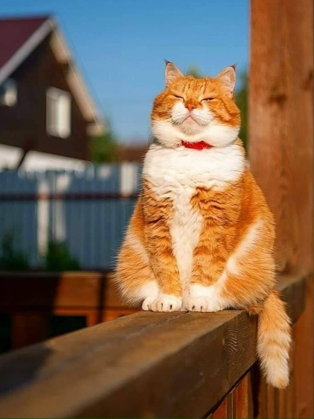 Ловите момент и наслаждайтесь им!!!