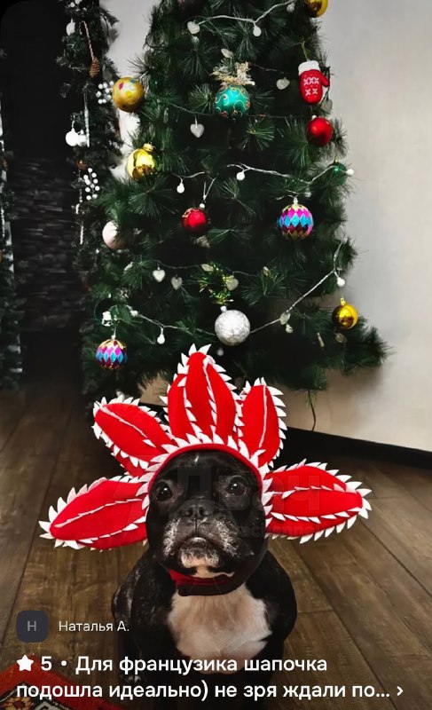 На российских маркетплейсах появилась шапка в виде Демогоргона для домашних питомцев
Теперь шерстян