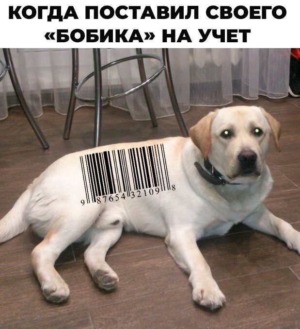 📢 В России планируют ввести учет домашних животных.
??...