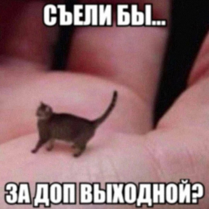 Утренняя подборочка