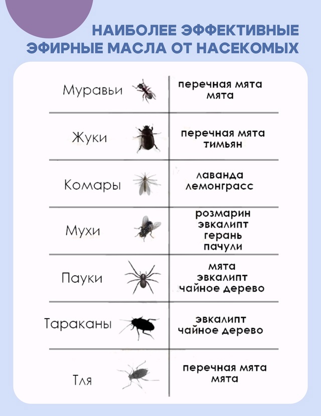 #Польза