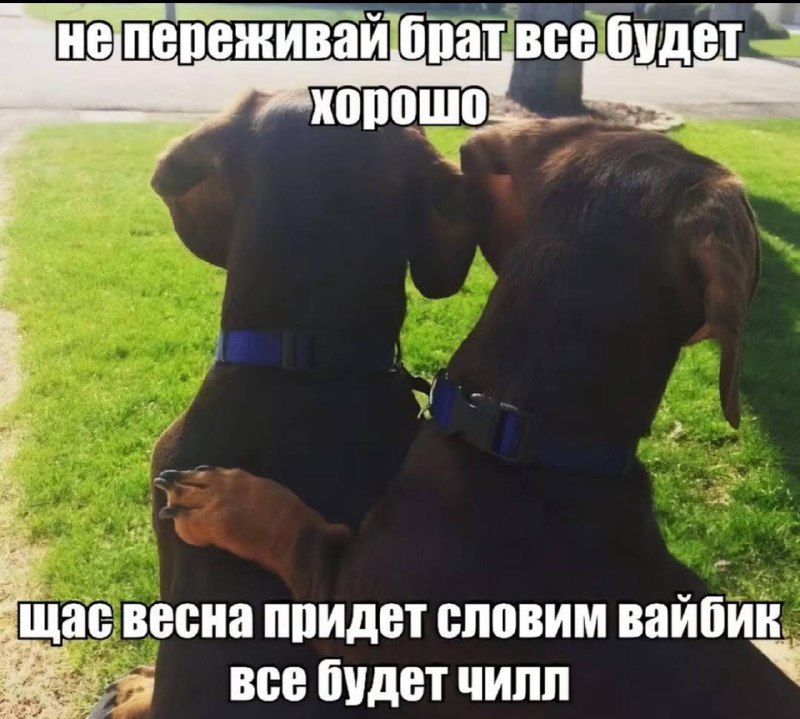 как я этого жду