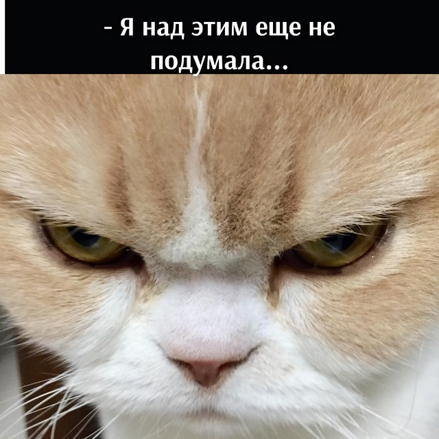 Потому что)))