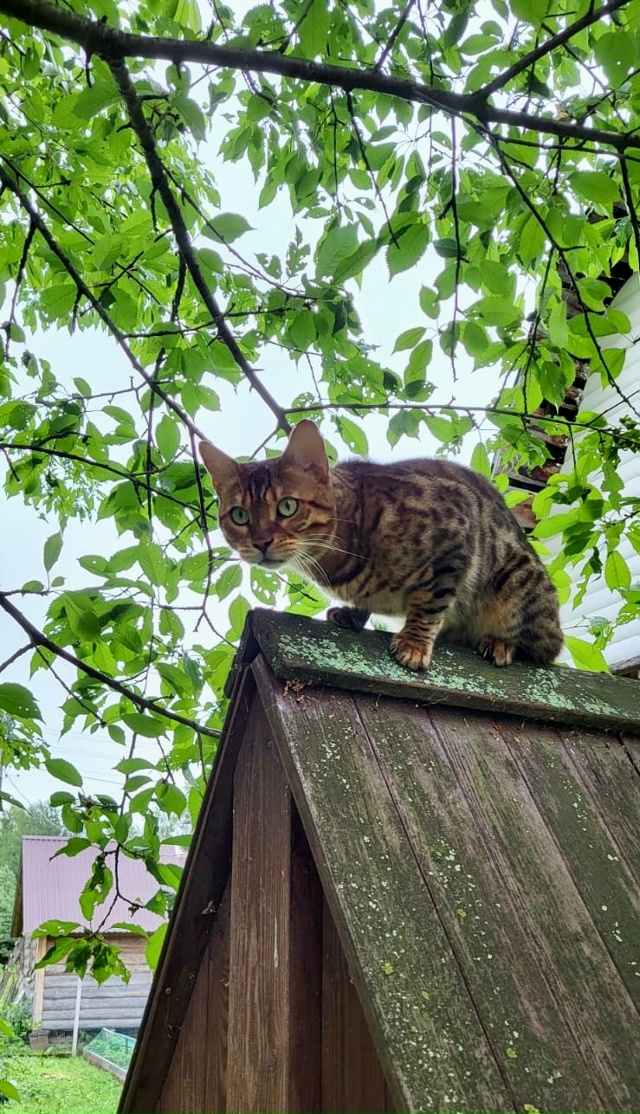 Беляная гора и ближайшие! До сих пор продолжаем поиски ...