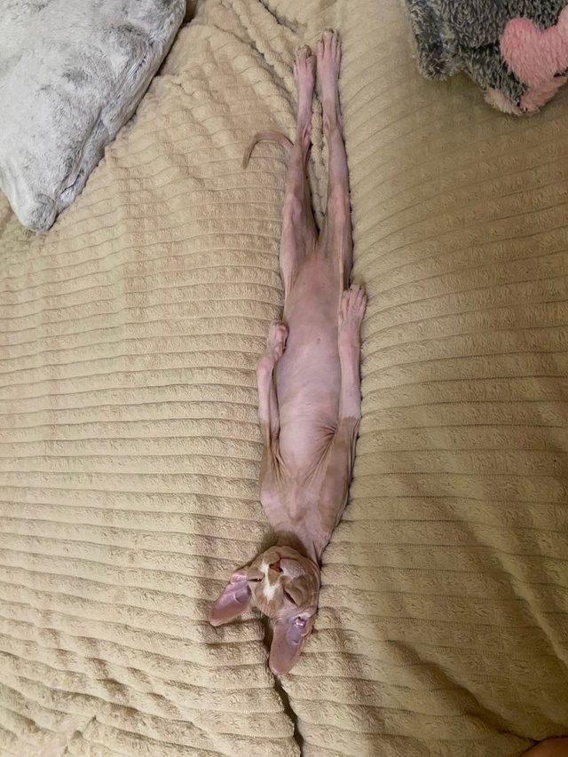 ?Мэджик ✨ Часть 1