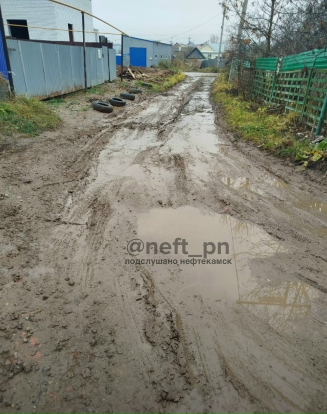 Вот так и ездим и ходим по такой грязи. Как подходят выб...