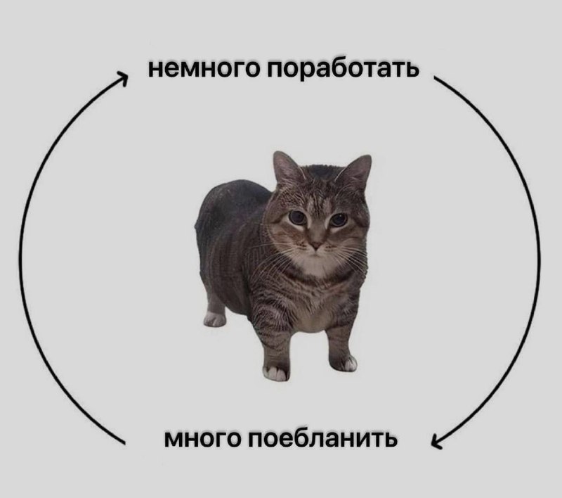 Ночная подборочка
Спать, режим