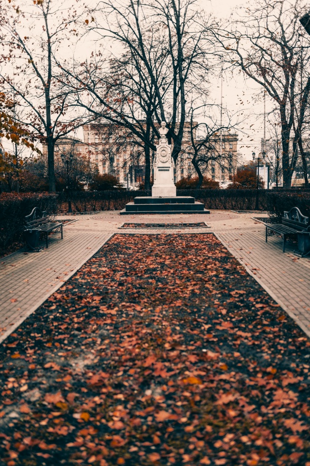 🍁Осенний Воронеж, центр