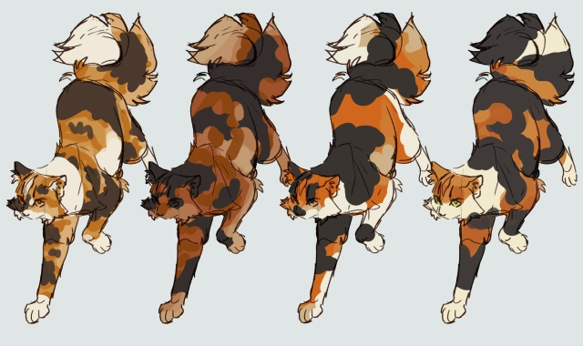 >is called tawnypelt
>isn't tawny
© harriertail
#KV_ZZ_ART