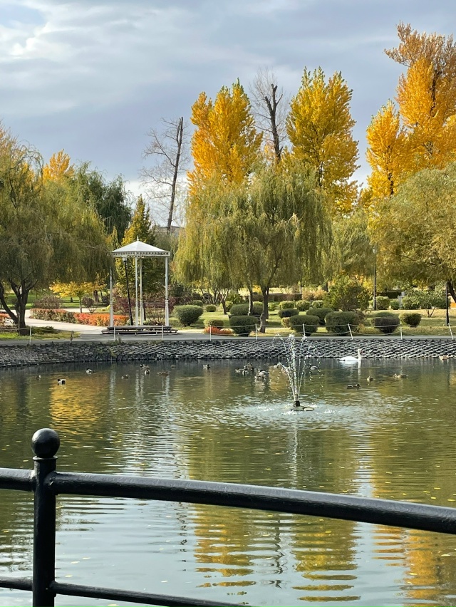 Снова осень 🍂 за окном
📸