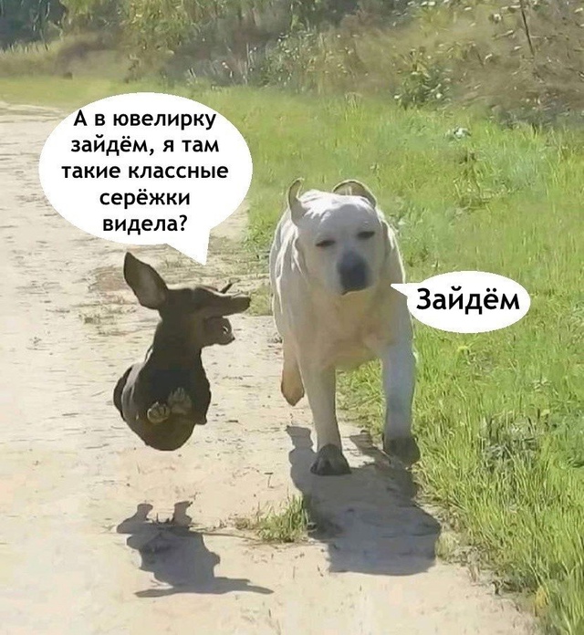 Обычная прогулка с мужем 😅
