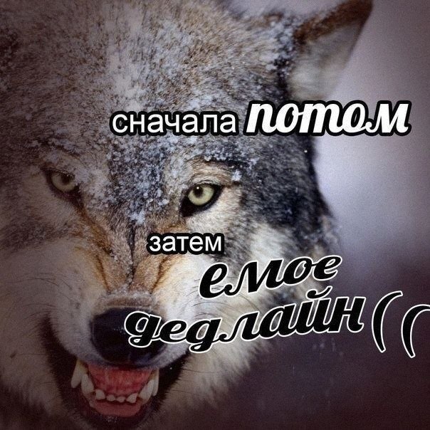 Утренняя подборочка