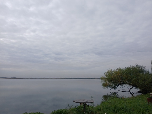 Продаётся сад 4.9 сотки с домиком 20 кв.м., ухоженный, рядо...