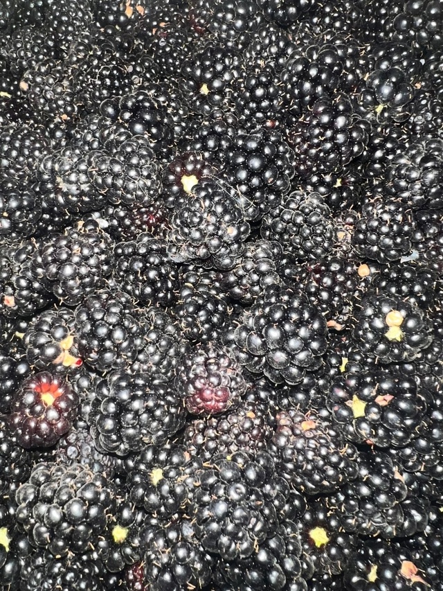⚠🍓⚠🍓⚠🍓⚠🍓⚠🍓 Жители г. Лангепас!!! Суббота, 19 июл?...