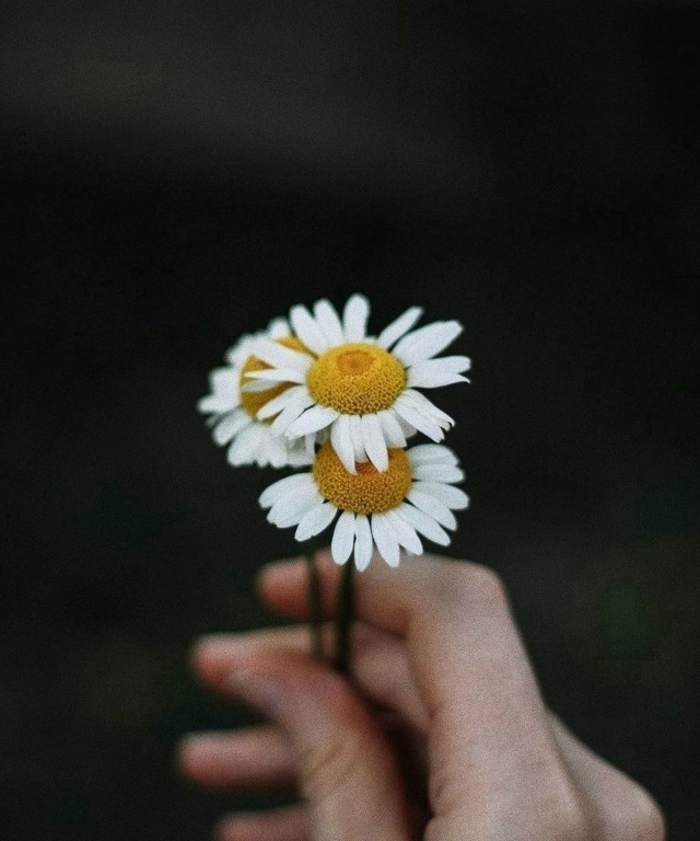 забудь все плохое.
начни с чистого листа.