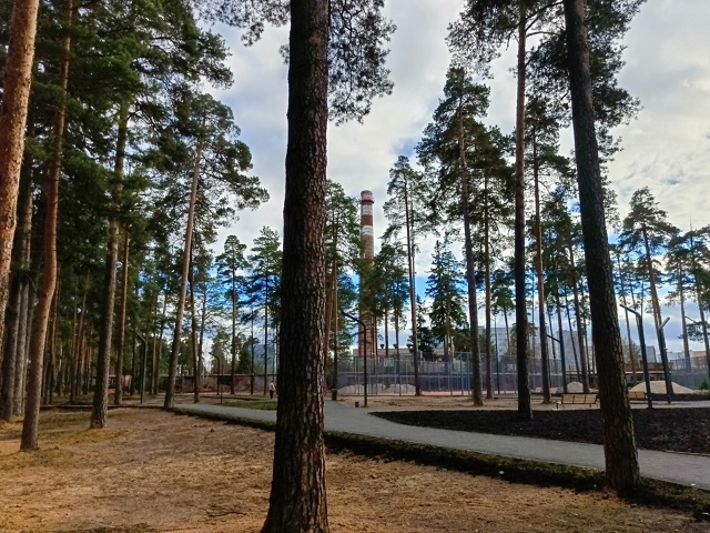 Лесопарк «Стрелки»
📸Ирина Белова