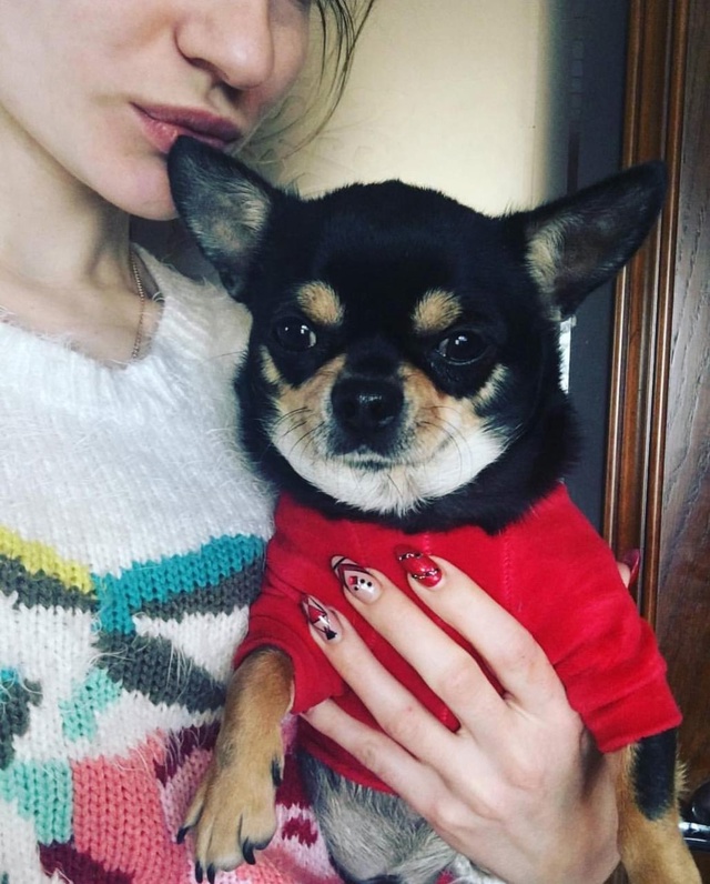 Можайский район, МО
13.07.2025г.
Пропала собака!
Чихуахуа, 12...