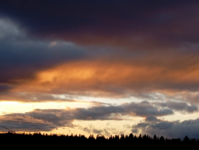 В ноябрьском закате - вся палитра уходящей осени...(25.11.25...