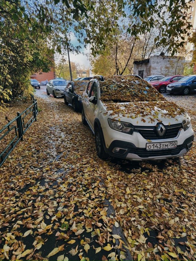 Доброе утро!
📸Юрий Смирнов