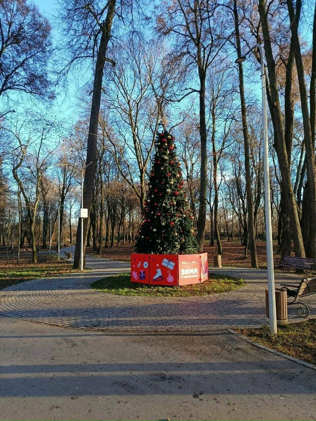 🌲Коломна потихоньку превращается в новогоднюю сказк?...