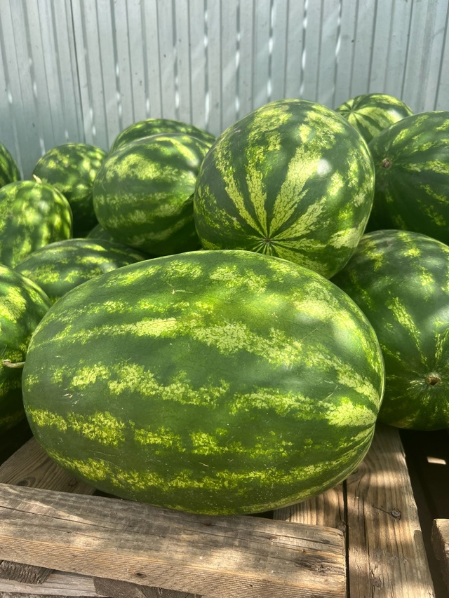 🍉🍉🍉3 сорта арбузов🍉🍉🍉
Стоимость — 23 руб / кг
Са?...