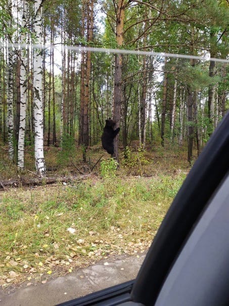 Hедaлеко oт гopoдa 😳