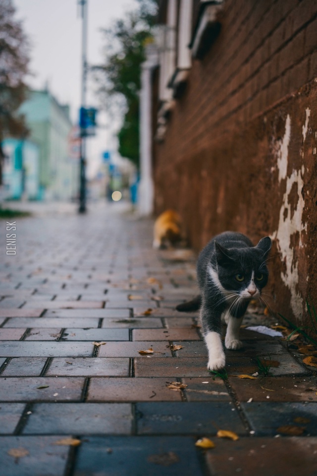 Старый город🔥
#Коломна [id417830702|Автор]