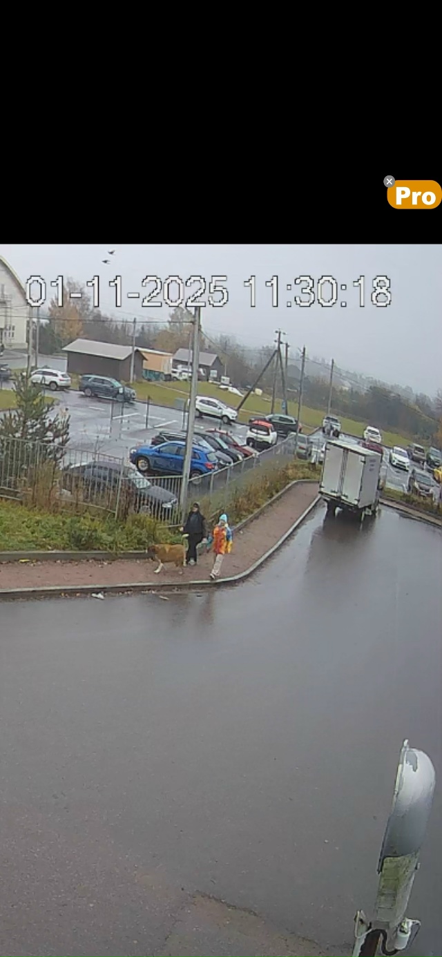 Добрый вечер!
Владельцы собаки на фото, которые остави?...