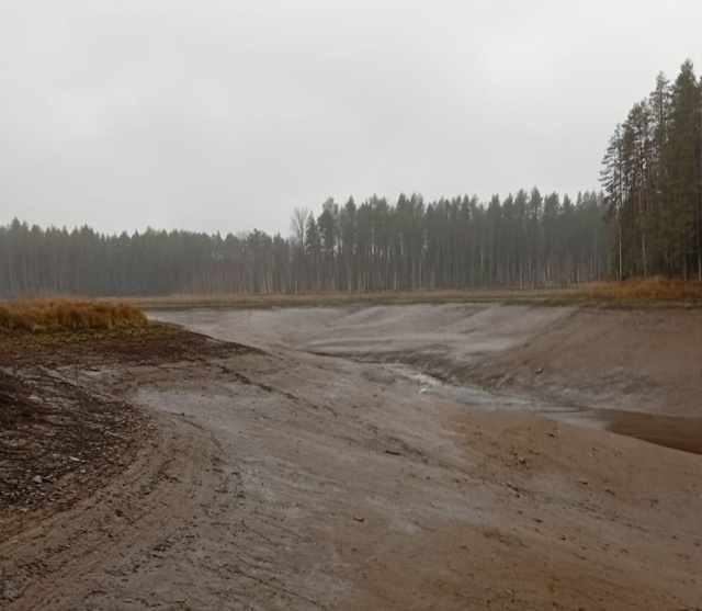 😳 В Вытегорском районе прямо сейчас наблюдают удивит?...