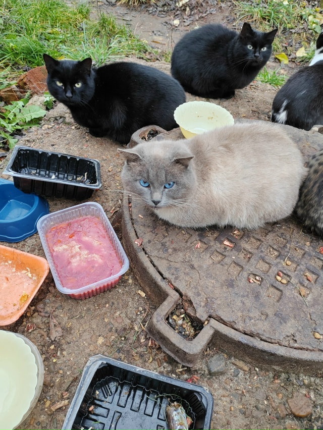 ‼️Добрый день всем участникам группы. 😉
Кто может пр...