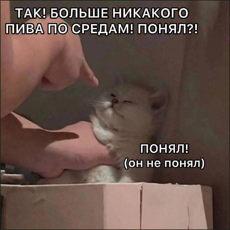 Утренняя подборочка