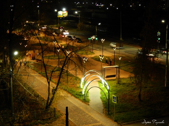 Спокойной ночи ?
Фото: Дарья Глухова