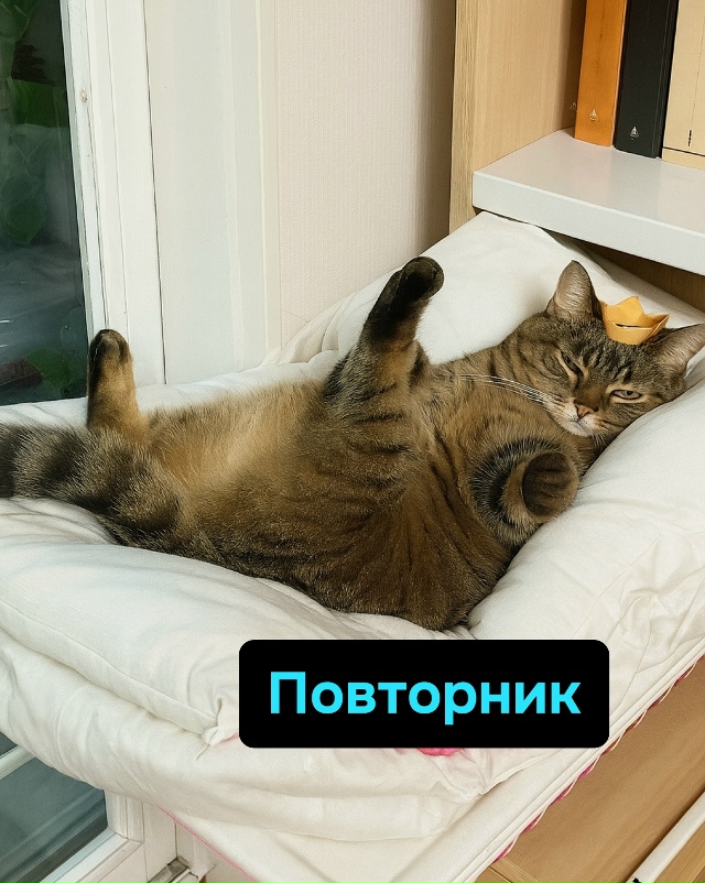 Рабочие дни придуманы зря, ведь по факту жить можно тол...
