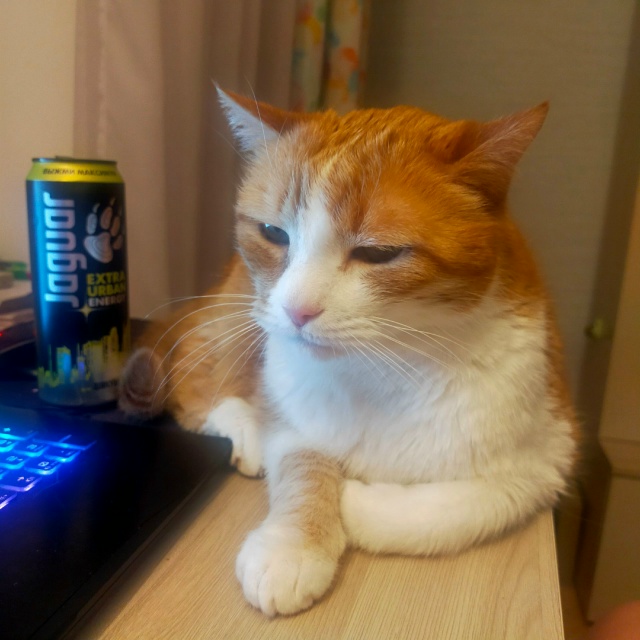 два ягуара на фотографии
#егобезейшество
бонусом ещё ...