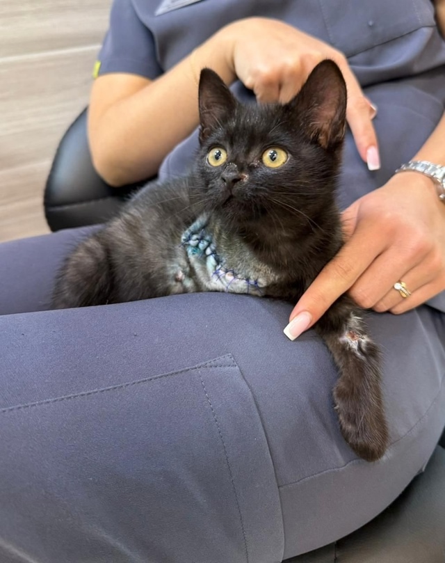 Из гадкого утёнка в чёрного принца 😍 особенный Малеви...